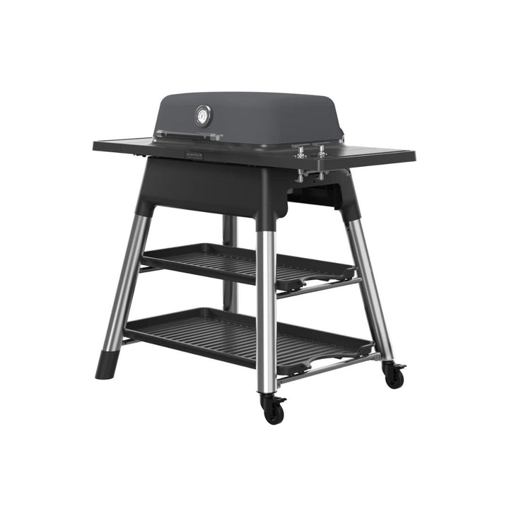 Everdure Force 2 Burner Gas Grill and Cart- E2G3B