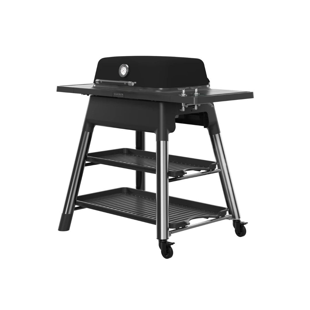 Everdure Force 2 Burner Gas Grill and Cart- E2G3B